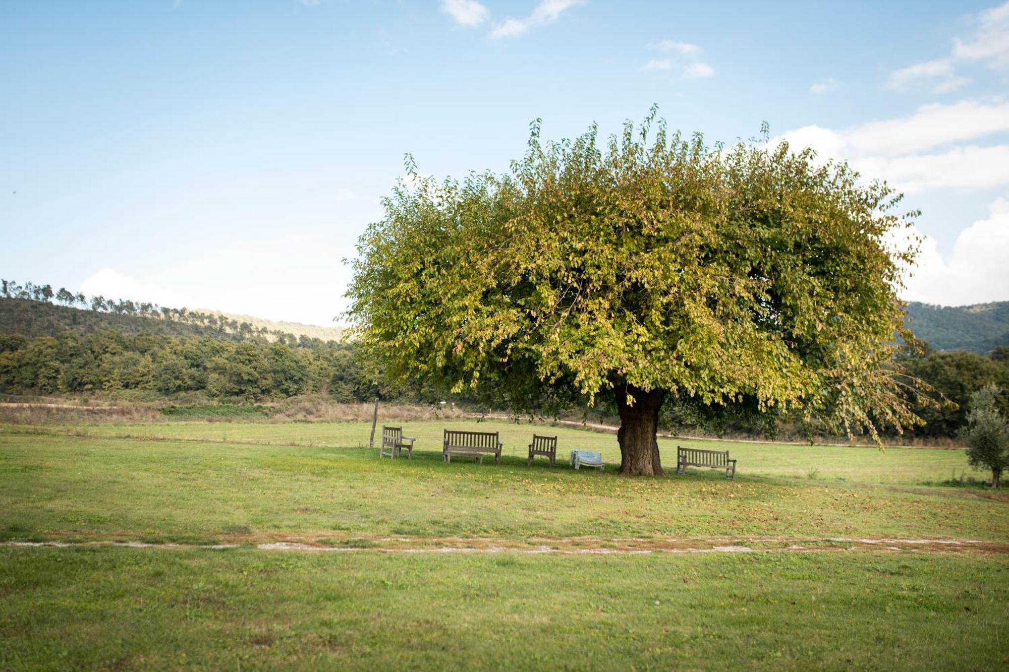 Agri Relais Il Poderaccio Di Μπολσένα Εξωτερικό φωτογραφία