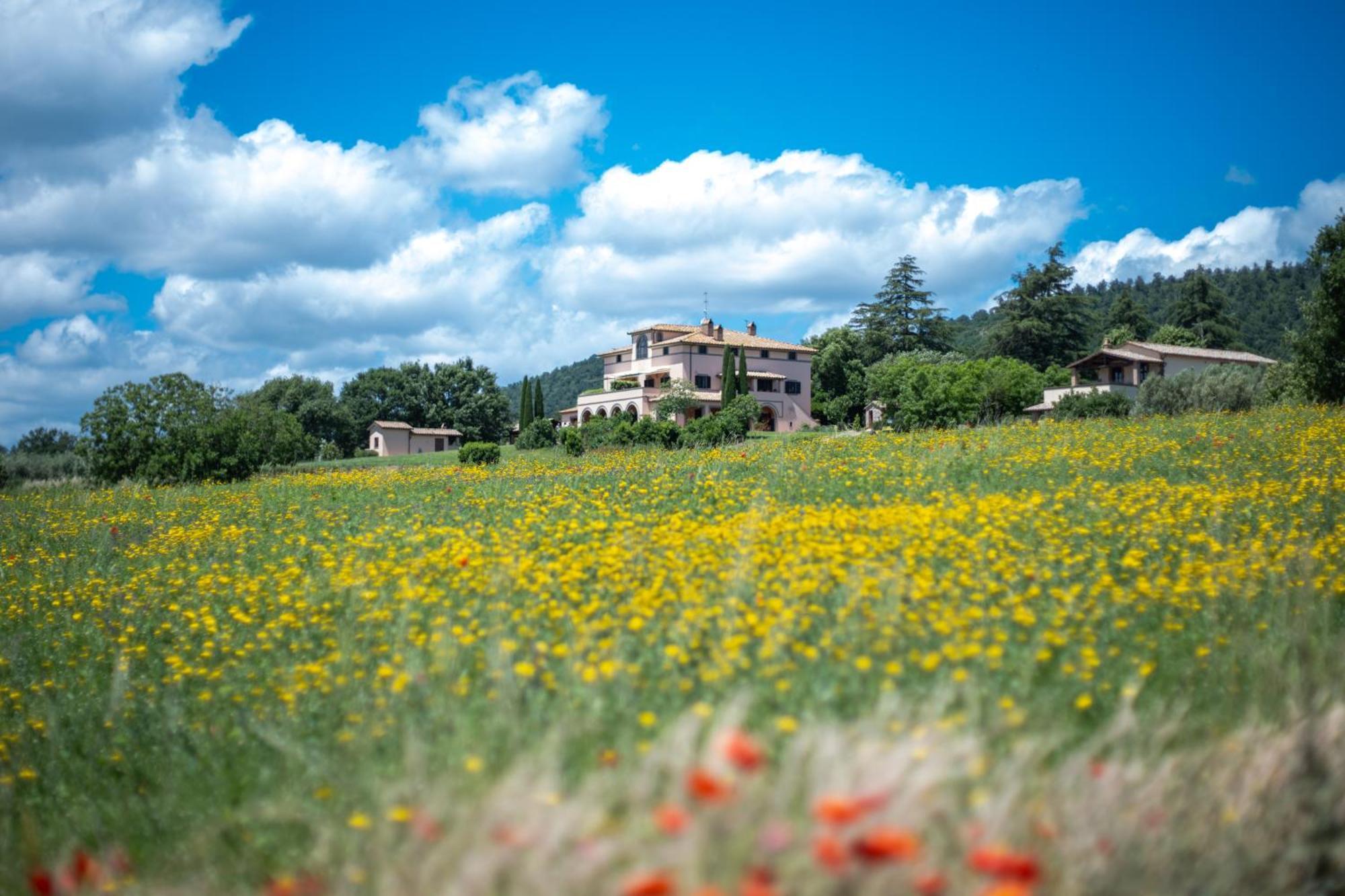 Agri Relais Il Poderaccio Di Μπολσένα Εξωτερικό φωτογραφία