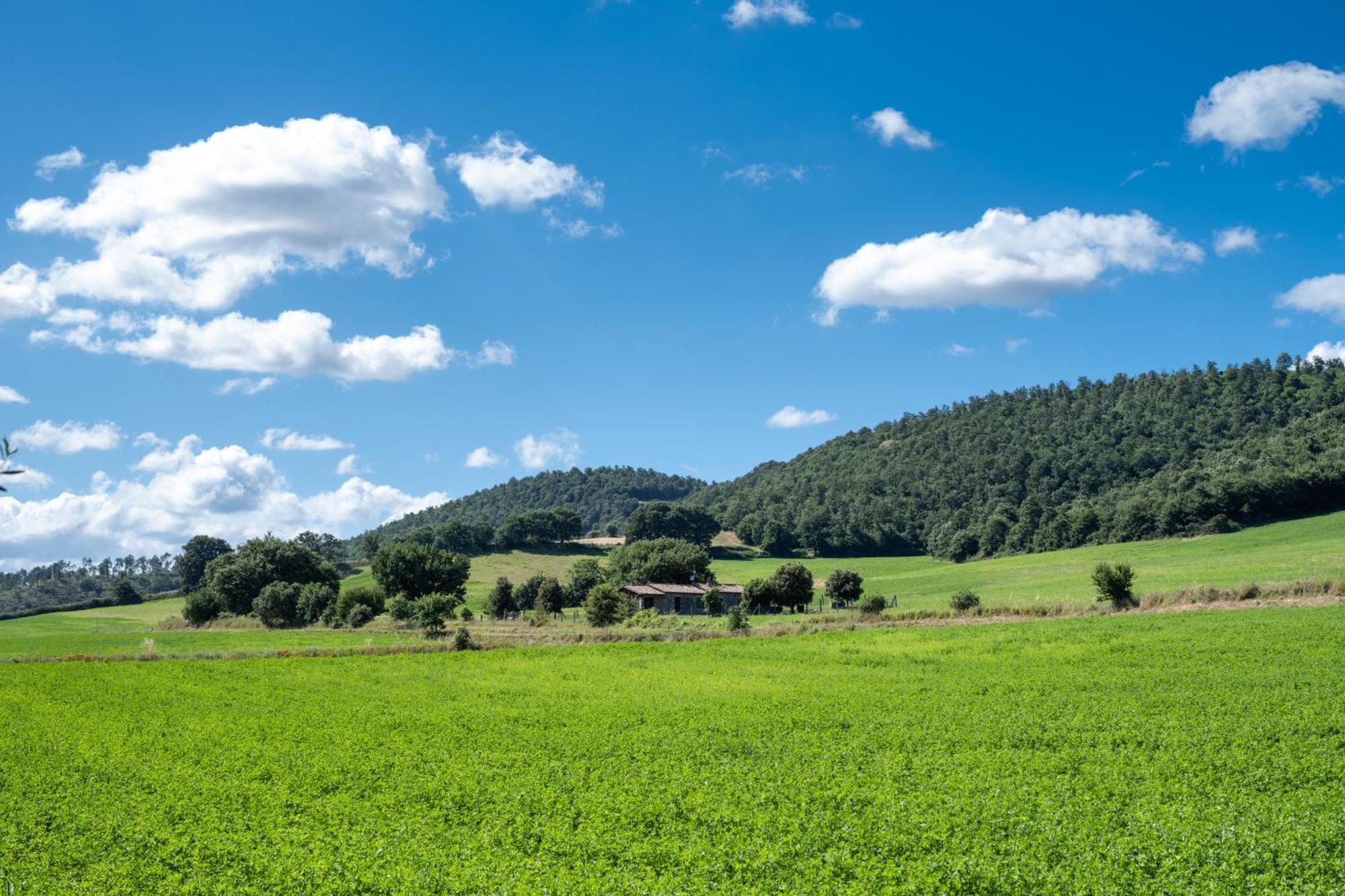 Agri Relais Il Poderaccio Di Μπολσένα Εξωτερικό φωτογραφία