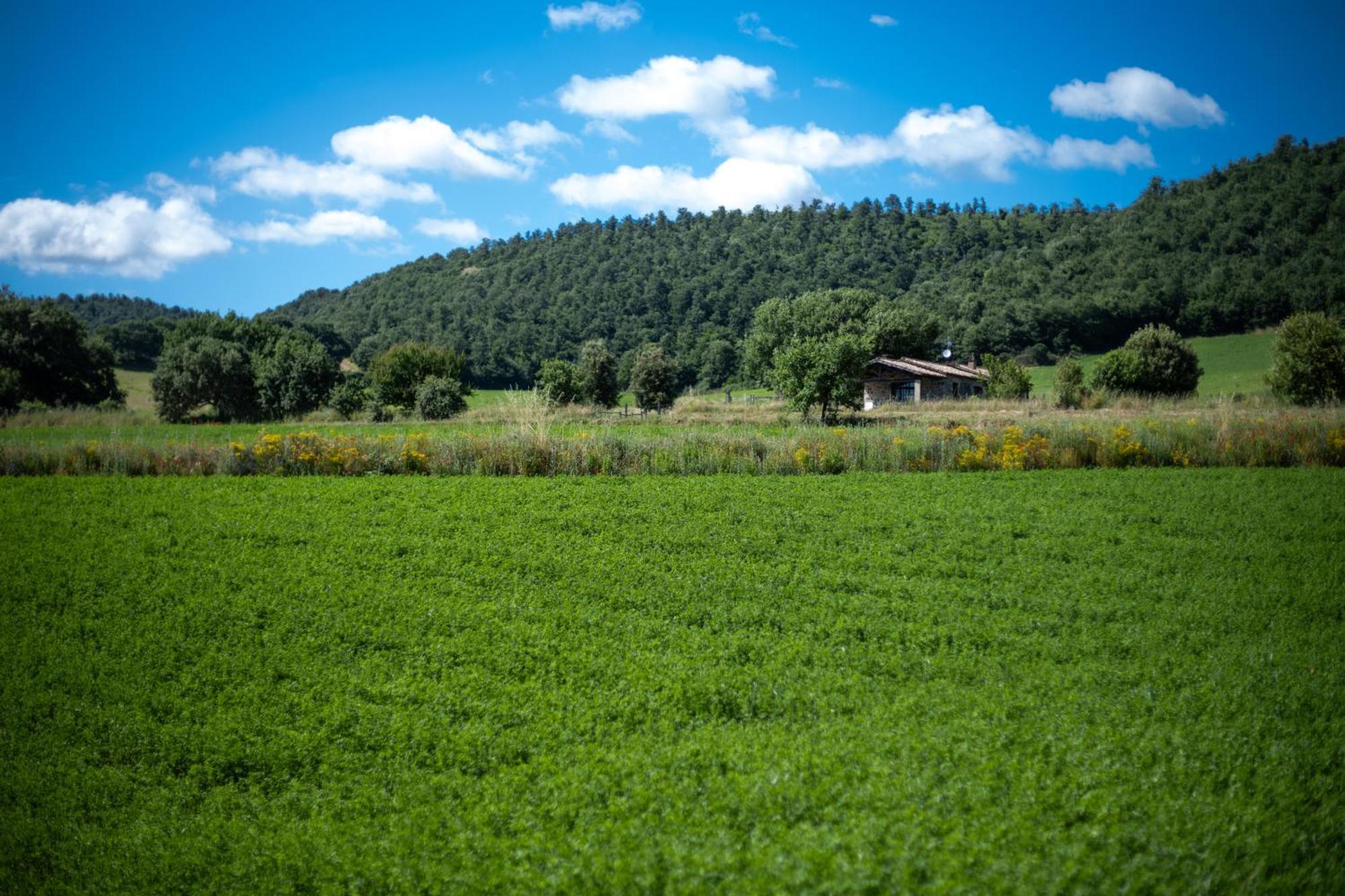 Agri Relais Il Poderaccio Di Μπολσένα Εξωτερικό φωτογραφία
