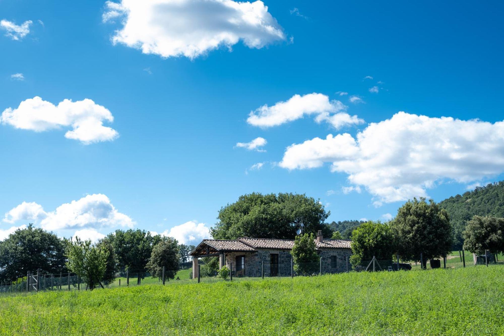 Agri Relais Il Poderaccio Di Μπολσένα Εξωτερικό φωτογραφία