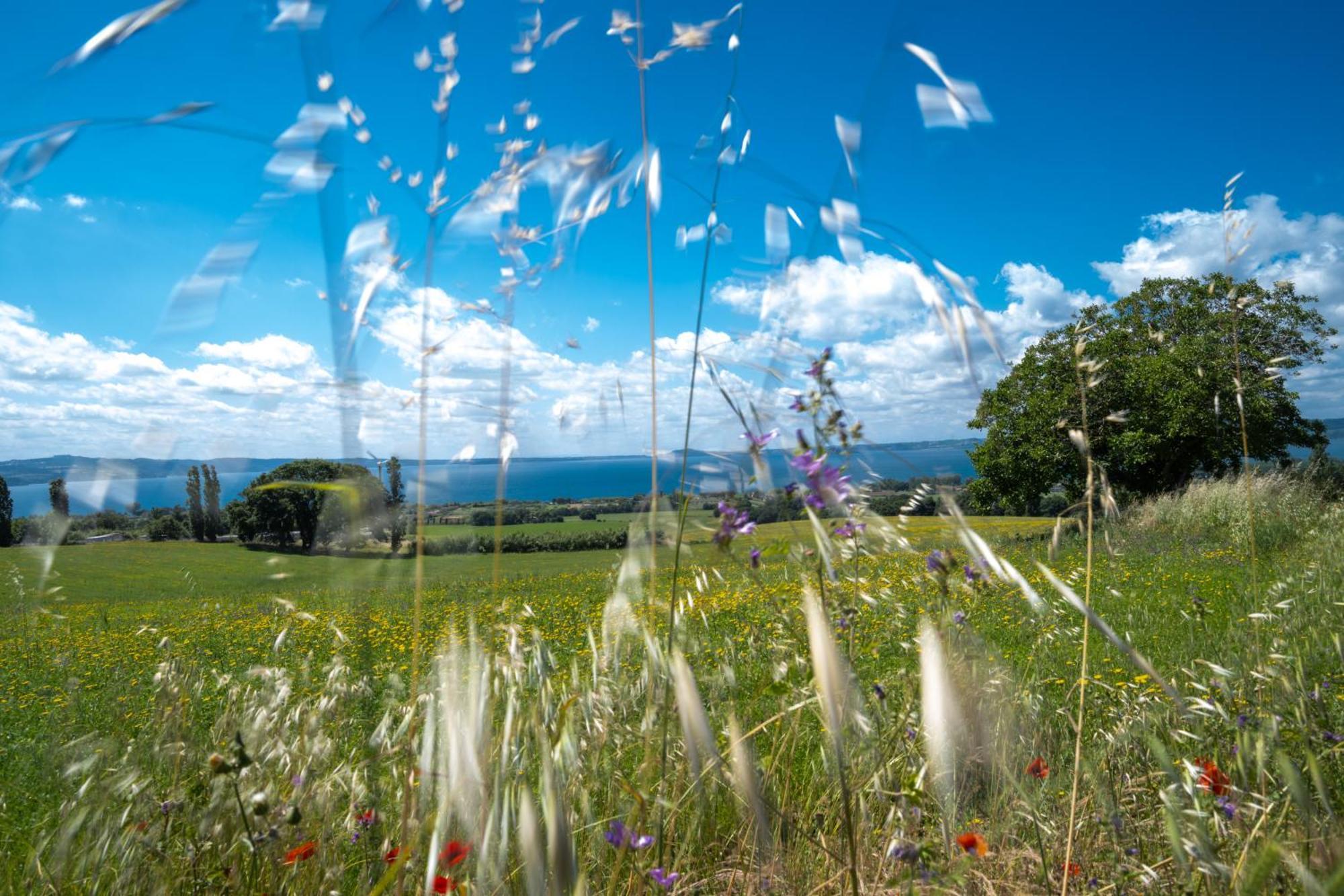 Agri Relais Il Poderaccio Di Μπολσένα Εξωτερικό φωτογραφία