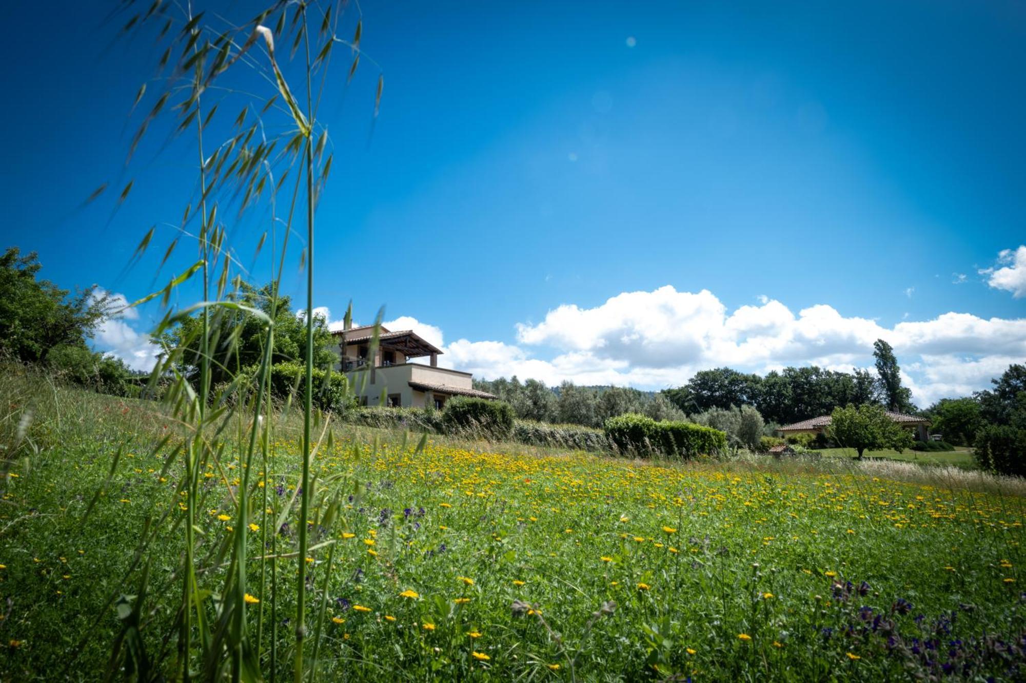 Agri Relais Il Poderaccio Di Μπολσένα Εξωτερικό φωτογραφία