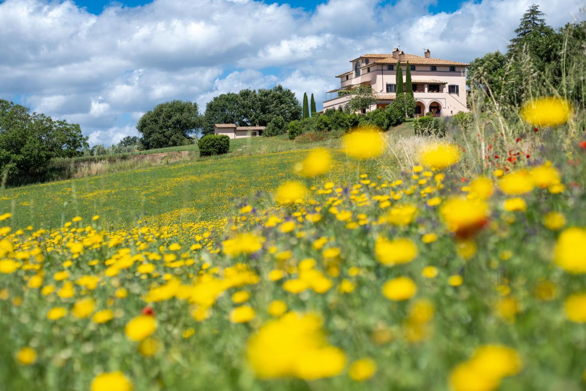 Agri Relais Il Poderaccio Di Μπολσένα Εξωτερικό φωτογραφία
