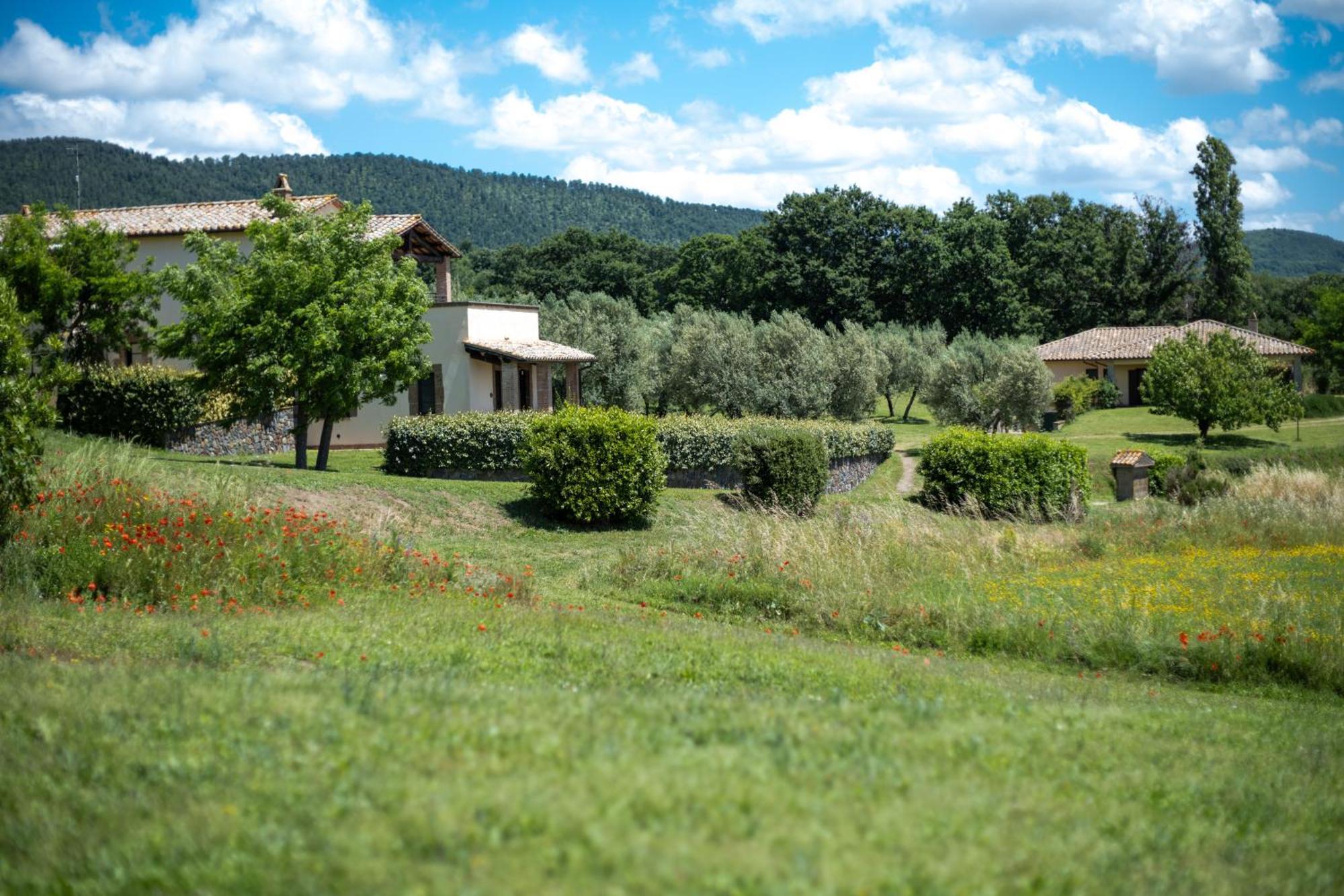 Agri Relais Il Poderaccio Di Μπολσένα Εξωτερικό φωτογραφία