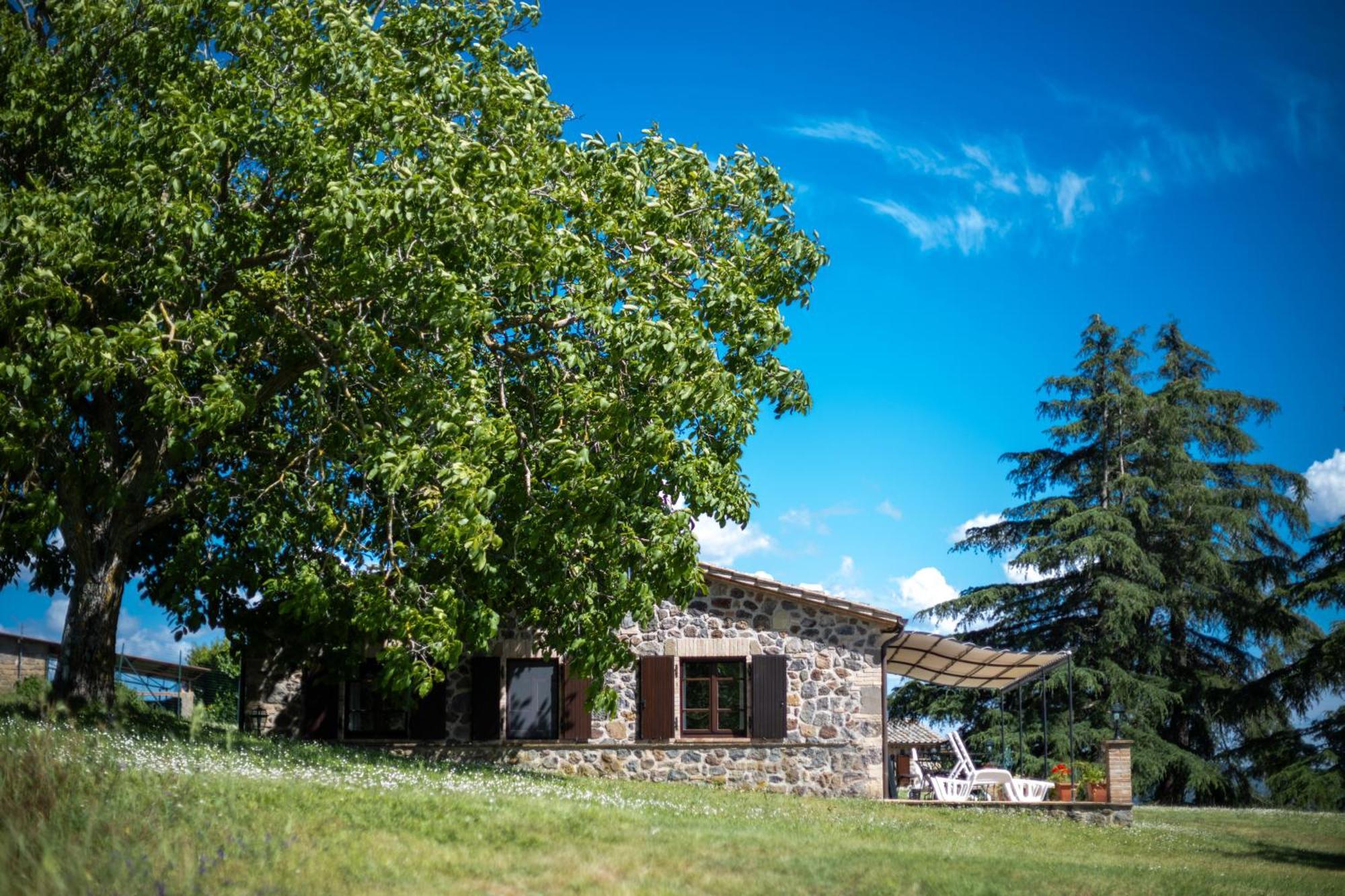 Agri Relais Il Poderaccio Di Μπολσένα Εξωτερικό φωτογραφία